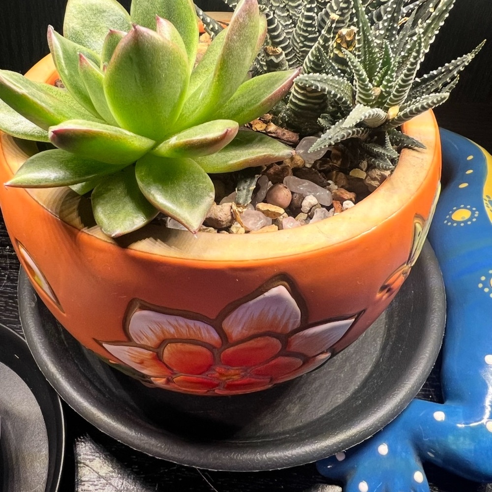 ❤️TWO SUMMER IMPRESSIONS POTS ORANGE🌹 - Picture 7 of 7